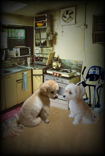 生き物ルーム第41