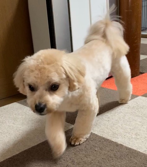 生き物ルーム第41