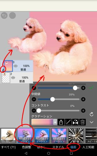 生き物ルーム第40
