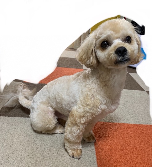 生き物ルーム第41