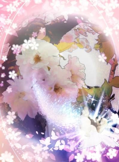 生き物ルーム第40