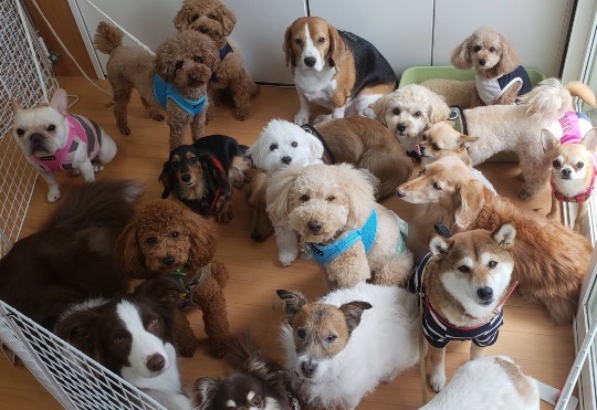 生き物ルーム第40