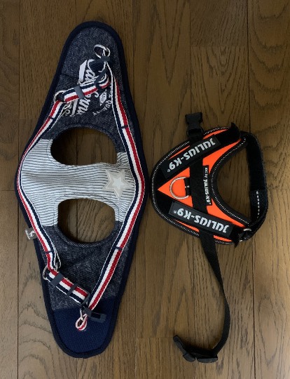 生き物ルーム第41