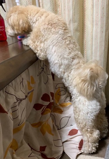 生き物ルーム第40