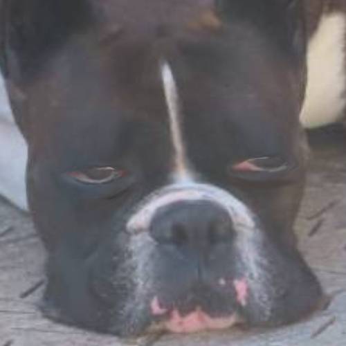 生き物ルーム第40