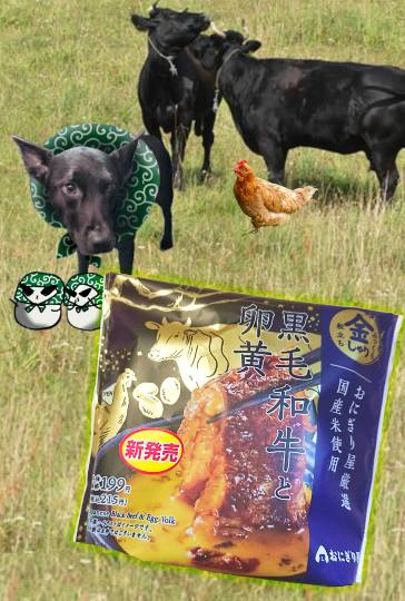 生き物ルーム第41