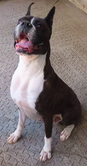 生き物ルーム第40