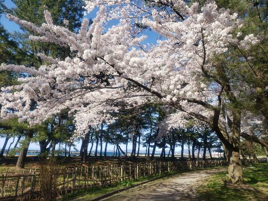 マスク同窓会詰所兼ニューフェイス歓迎所21