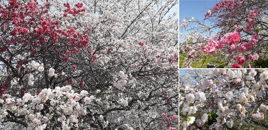 ★ドンキ♡♡ロピア 雑談23★