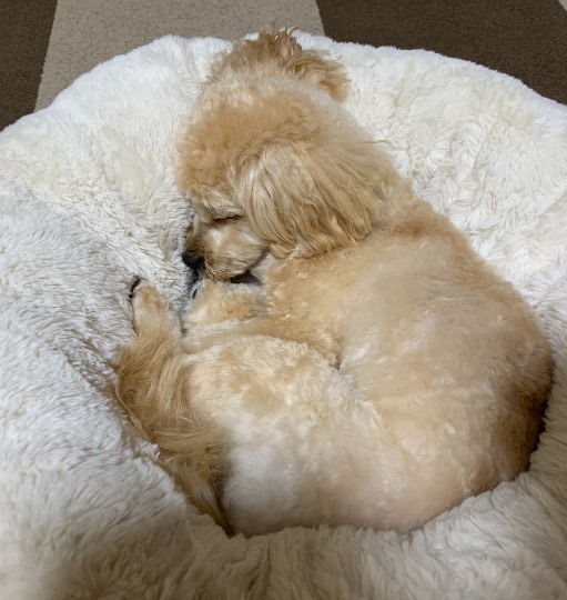 生き物ルーム第41