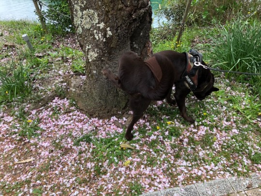 生き物ルーム第40