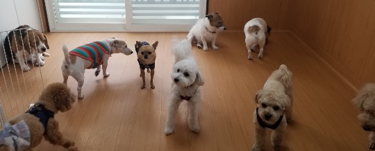 生き物ルーム第40