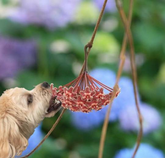 生き物ルーム第40