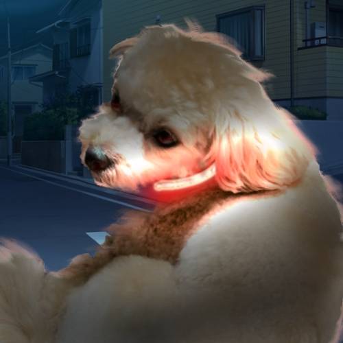 生き物ルーム第40