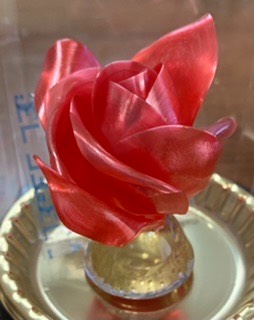 マスク同窓会詰所兼ニューフェイス歓迎所21