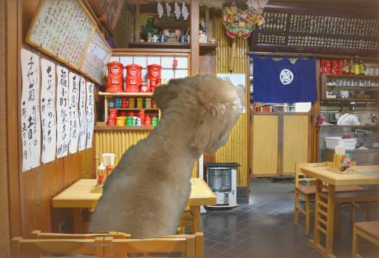 生き物ルーム第40