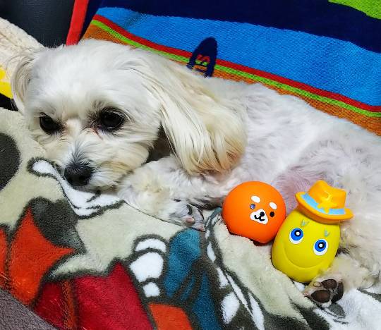 生き物ルーム第40