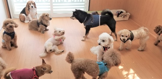 生き物ルーム第41