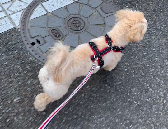 生き物ルーム第41