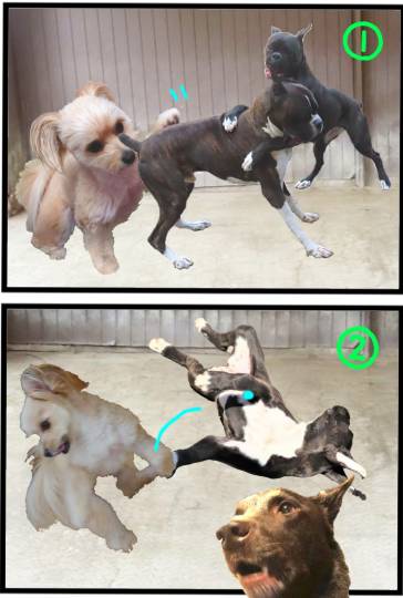 生き物ルーム第41