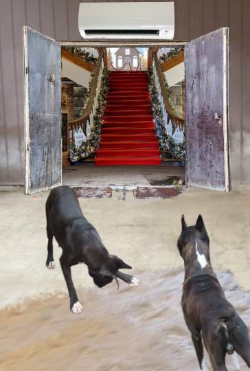 生き物ルーム第40