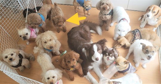 生き物ルーム第41