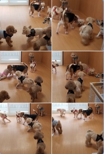 生き物ルーム第40