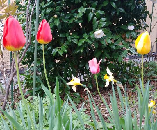 ★ドンキ♡♡ロピア 雑談27★