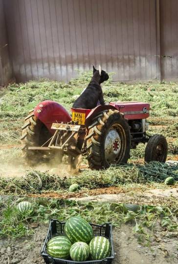 生き物ルーム第40