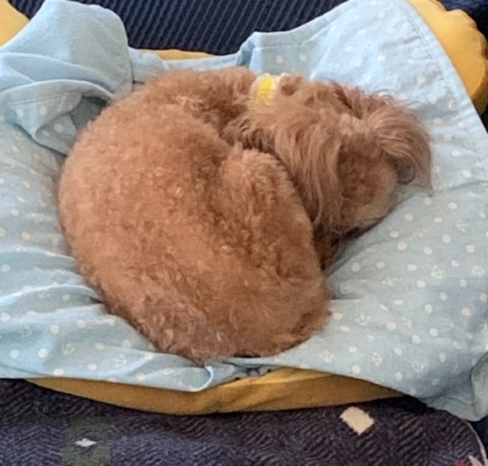 生き物ルーム第41