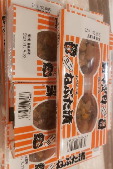 生き物ルーム第41