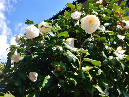 ★ドンキ♡♡ロピア 雑談26★