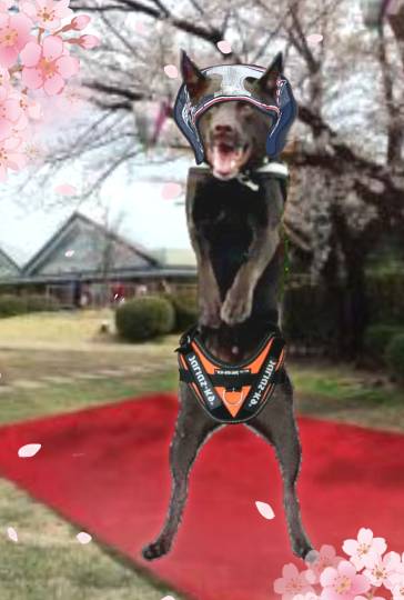 生き物ルーム第41