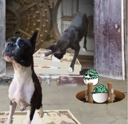 生き物ルーム第40