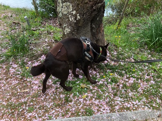 生き物ルーム第40