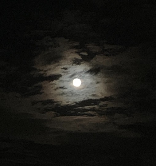 ★ドンキ♡♡ロピア 雑談27★