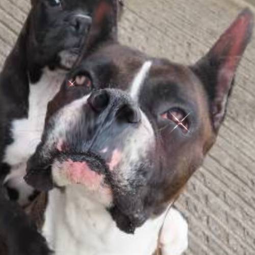 生き物ルーム第40