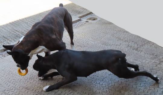 生き物ルーム第40