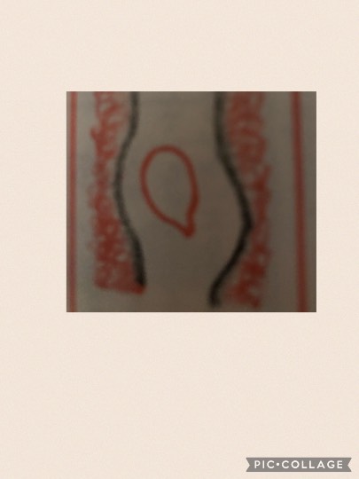 EGG&#039;S CAFE支店『Wellness』6号店　健康・体調・ダイエット・更年・介護...