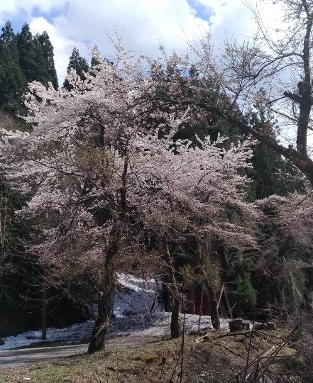 【スナックJINJIN】ここまできたよ!12号店!! ちょいとよっていかないかい~(^^)