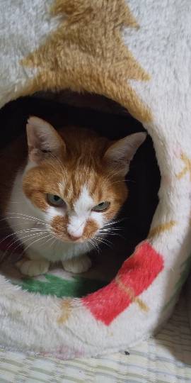 生き物ルーム第41