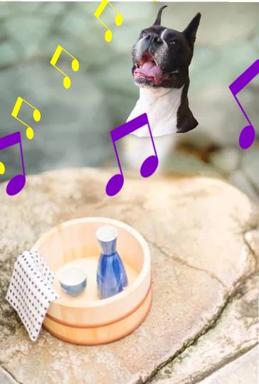 生き物ルーム第40