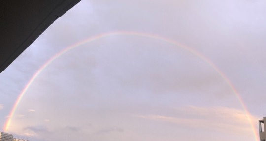 ★ドンキ♡♡ロピア 雑談27★