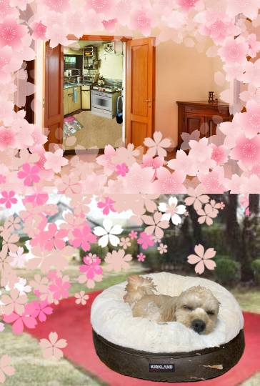 生き物ルーム第40