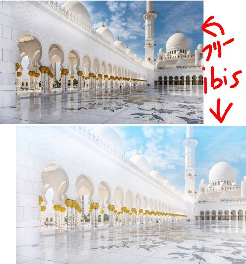 生き物ルーム第40