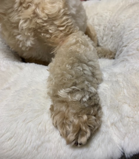 生き物ルーム第41