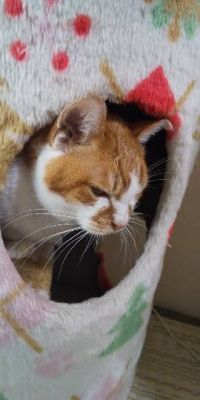 生き物ルーム第42