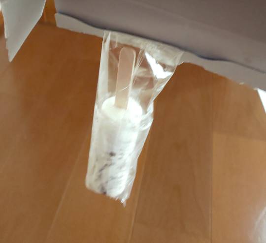 つぶやきトピック その58