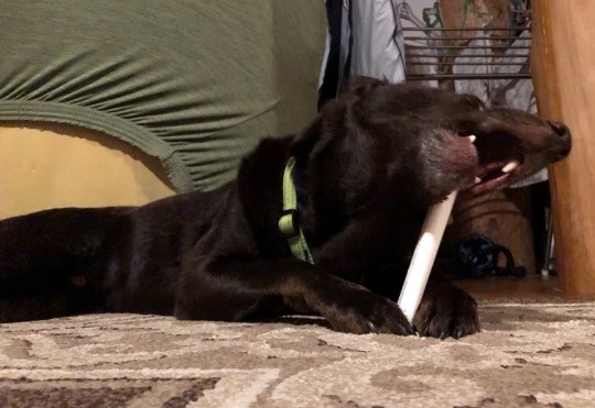 生き物ルーム第43