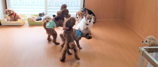 生き物ルーム第44